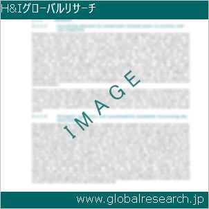 グローバルリサーチ調査レポートのイメージ